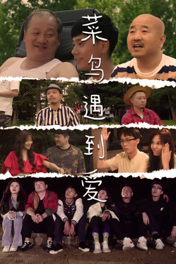 菜鸟遇到爱 海报 高清在线观看