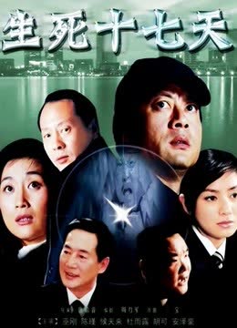 生死十七天 海报 高清在线观看