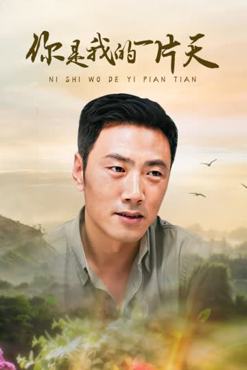 你是我的一片天 海报 高清在线观看