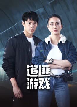 追匪游戏 海报 高清在线观看