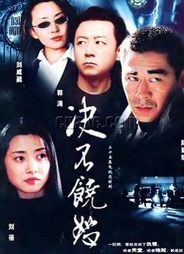 决不饶恕 海报 高清在线观看