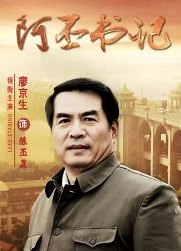 阿丕书记 海报 高清在线观看