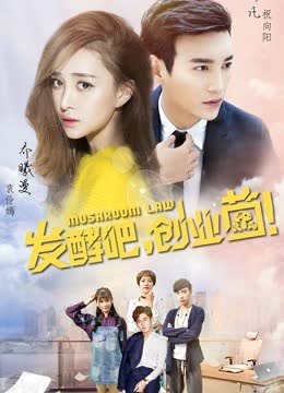 发酵吧，创业菌！ 海报 高清在线观看