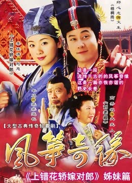 风筝奇缘 海报 高清在线观看