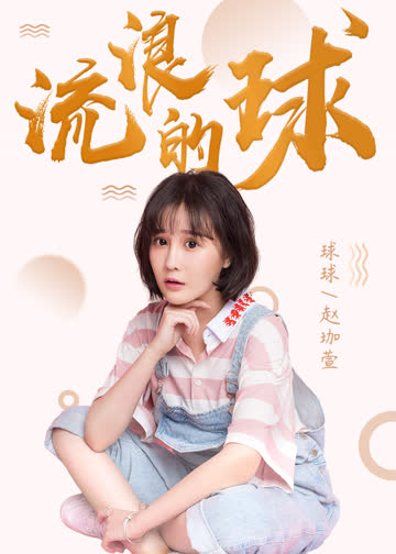 流浪的球 海报 高清在线观看