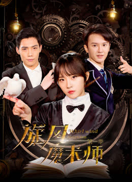 旋风魔���师第一季 海报 高清在线观看