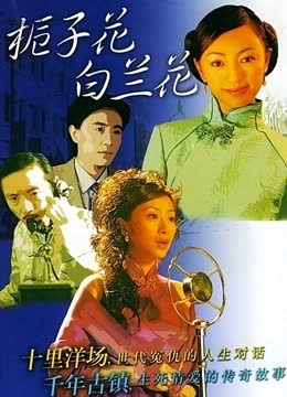栀子花白兰花 海报 高清在线观看