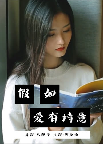 假如爱有诗意 海报 高清在线观看