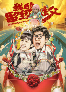 我的留级岳父 海报 高清在线观看