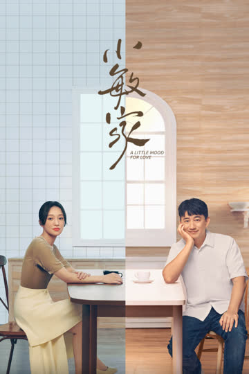 小敏家 DVD版 海报 高清在线观看