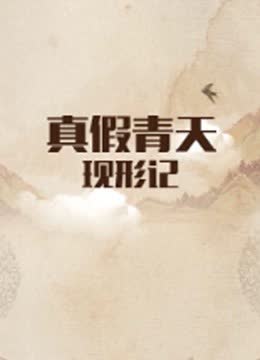 真假青天现形记 海报 高清在线观看