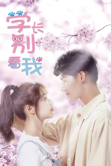学长别看我 海报 高清在线观看
