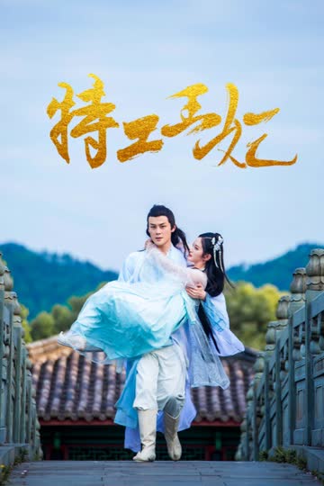 特工王妃 海报 高清在线观看