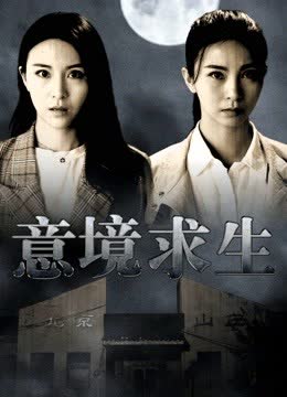 意境求生 海报 高清在线观看