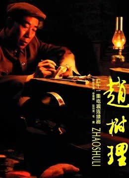 赵树理 海报 高清在线观看