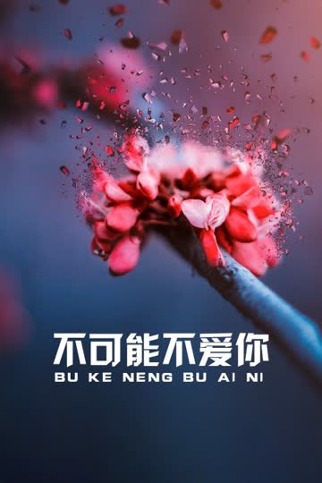 不可能不爱你 海报 高清在线观看