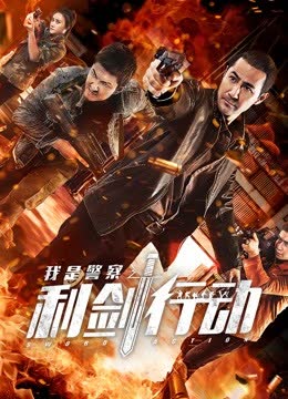 利剑行动 海报 高清在线观看