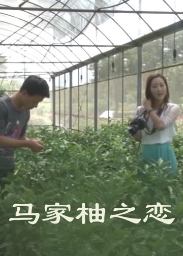 马家柚之恋 海报 高清在线观看