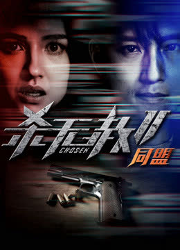 杀无赦2：Ⅱ同盟 海报 高清在线观看