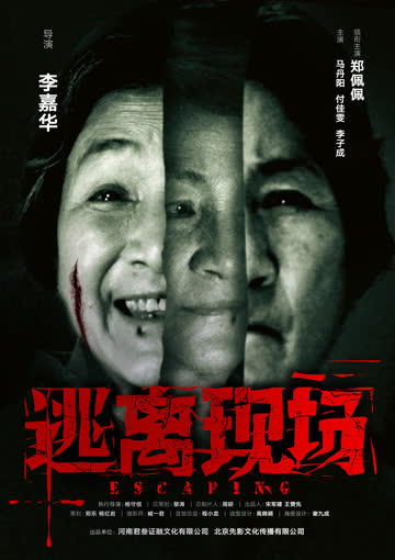 逃离现场 海报 高清在线观看