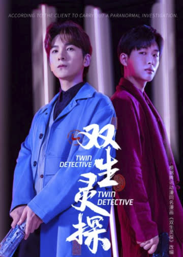 双生灵探 海报 高清在线观看