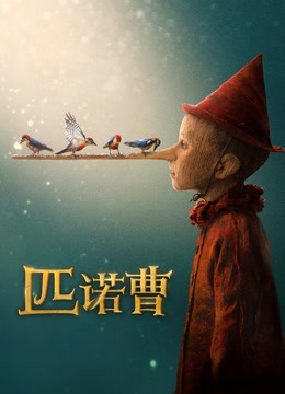 匹诺曹（普通话） 海报 高清在线观看