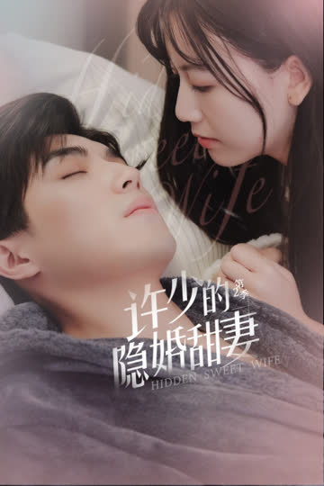 许少的隐婚甜妻 第二季 海报 高清在线观看