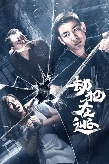 劫犯在逃 海报 高清在线观看