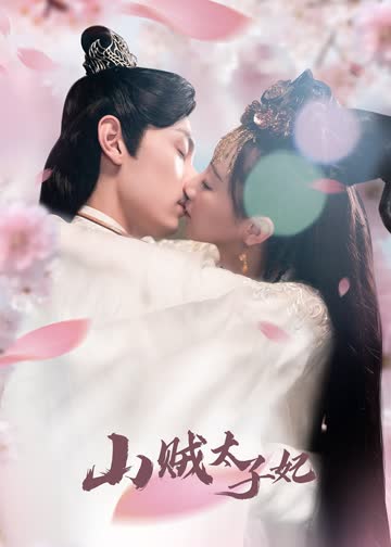 山贼太子妃 海报 高清在线观看