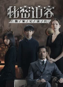 秘密访客 · 独家纪录片 海报 高清在线观看