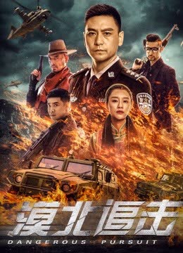 漠北追击 海报 高清在线观看