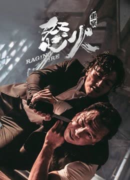 怒火·重案（粤语） 海报 高清在线观看