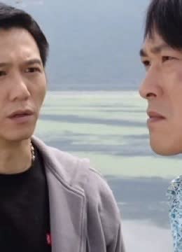 兄弟无间 海报 高清在线观看
