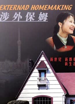 涉外保姆 海报 高清在线观看