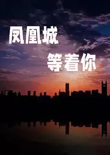 凤凰城等着你 海报 高清在线观看
