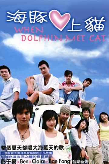 海豚爱上猫 海报 高清在线观看