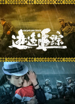 逃逸追踪 海报 高清在线观看