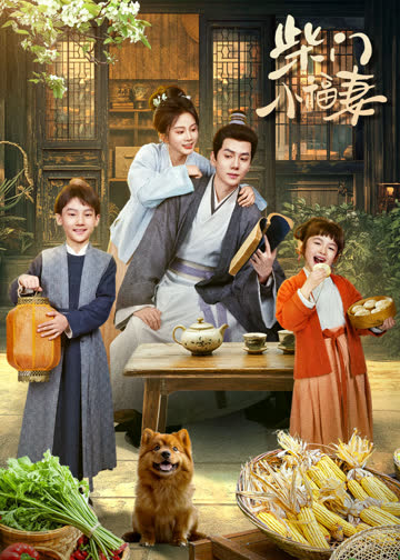 柴门小福妻 海报 高清在线观看
