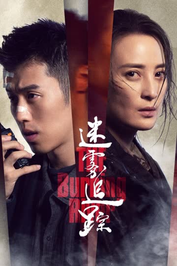 迷雾追踪 海报 高清在线观看