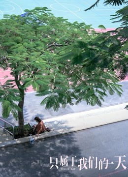 只属于我们的一天（粤语） 海报 高清在线观看