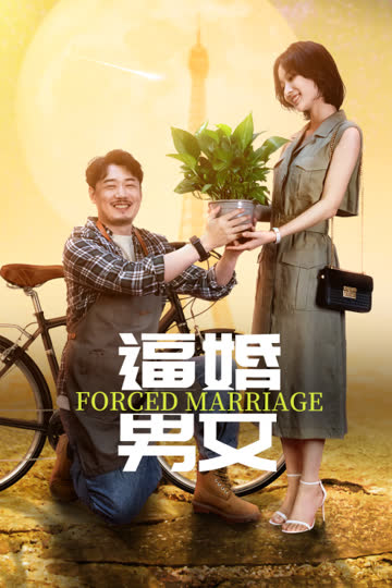 逼婚男女 海报 高清在线观看