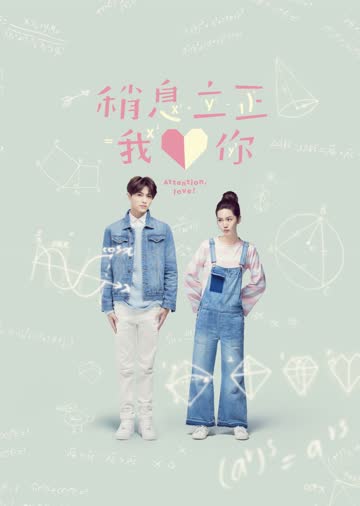 稍息立正我爱你 海报 高清在线观看