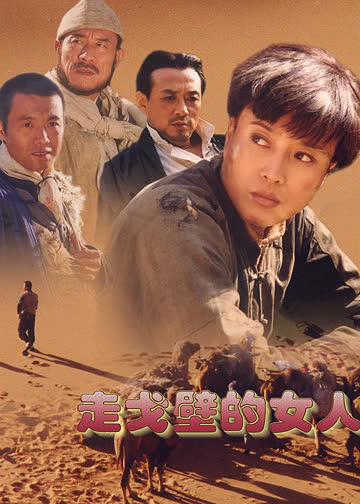 走戈壁的女人 海报 高清在线观看