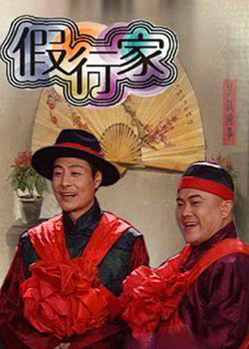假行家 海报 高清在线观看