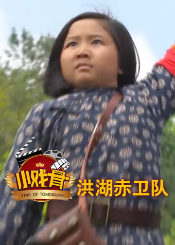 小戏骨洪湖赤卫队 海报 高清在线观看