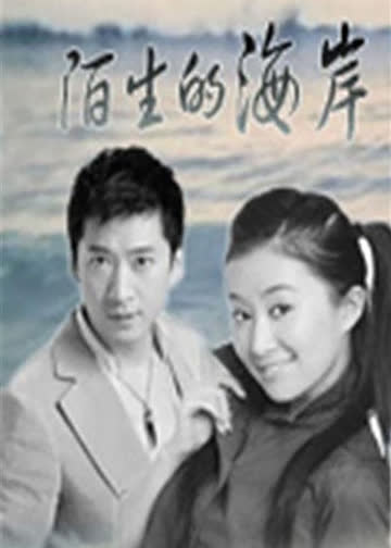 陌生的海岸 海报 高清在线观看