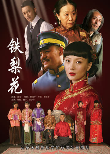 铁梨花 海报 高清在线观看