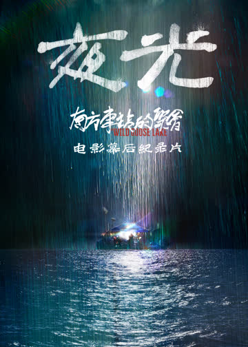 南方车站的聚会·纪录片 海报 高清在线观看