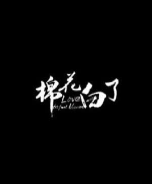 棉花白了 在线观看