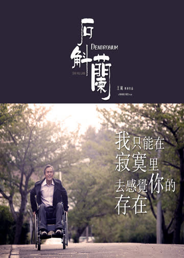 石斛兰 海报 高清在线观看